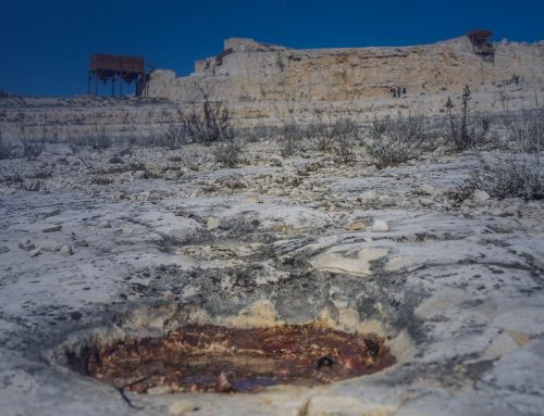 Settimana del Pianeta Terra 2019